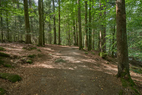 Gemeinde Waldkirchen Landkreis Freyung-Grafenau Saußbachklamm (Dirschl Johann) Deutschland FRG